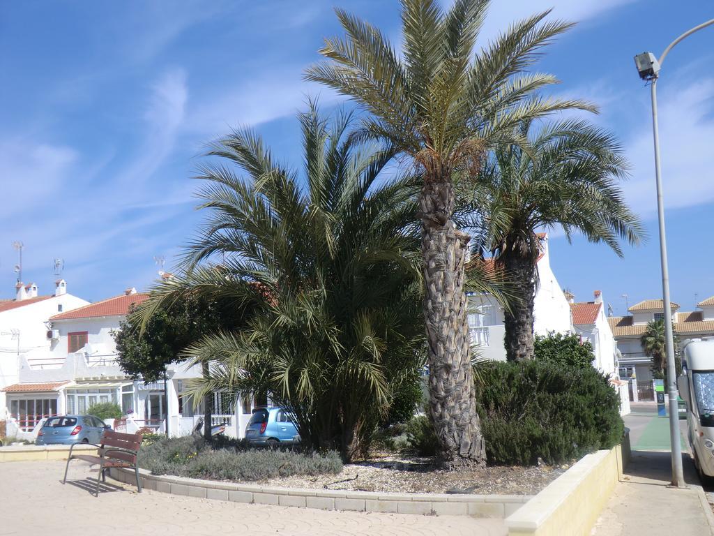 Casas Holiday - Playa La Mata 1 또레비에하 외부 사진